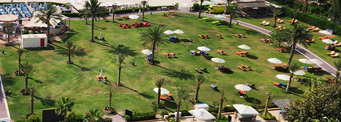 Lawn 2 (Lawn 1163)