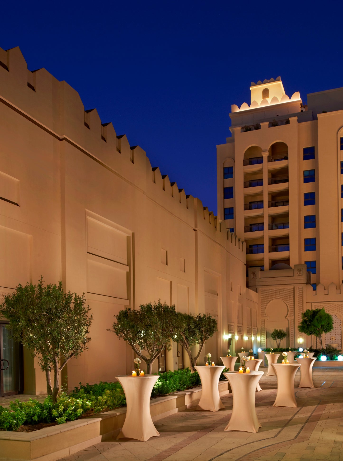 Palm Courtyard (Terrace Area 1338)