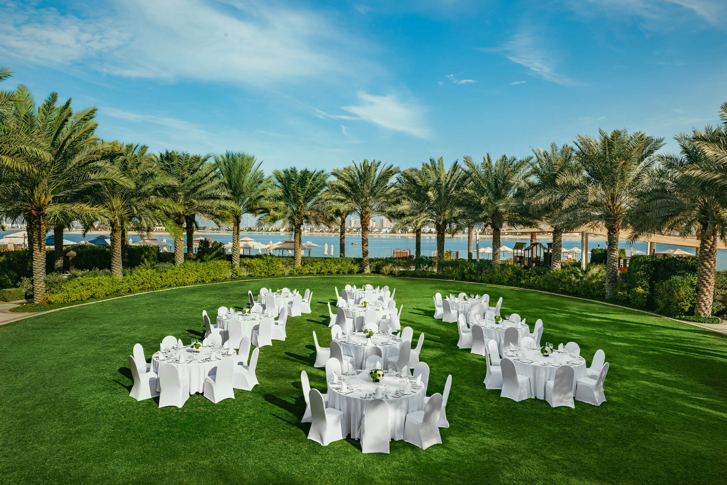 Royal Lawn (Lawn 474)