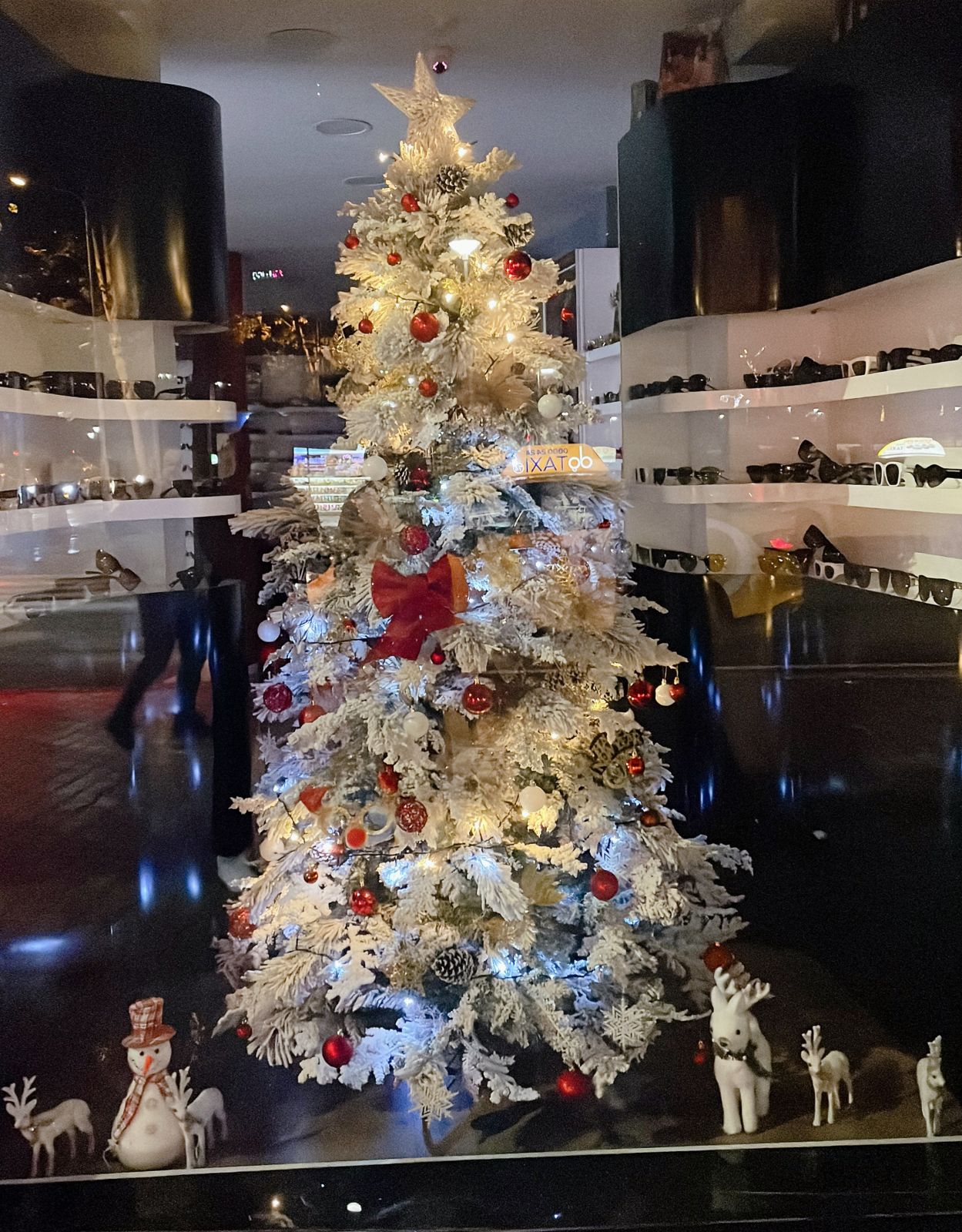 Christmas Theme Decor 6