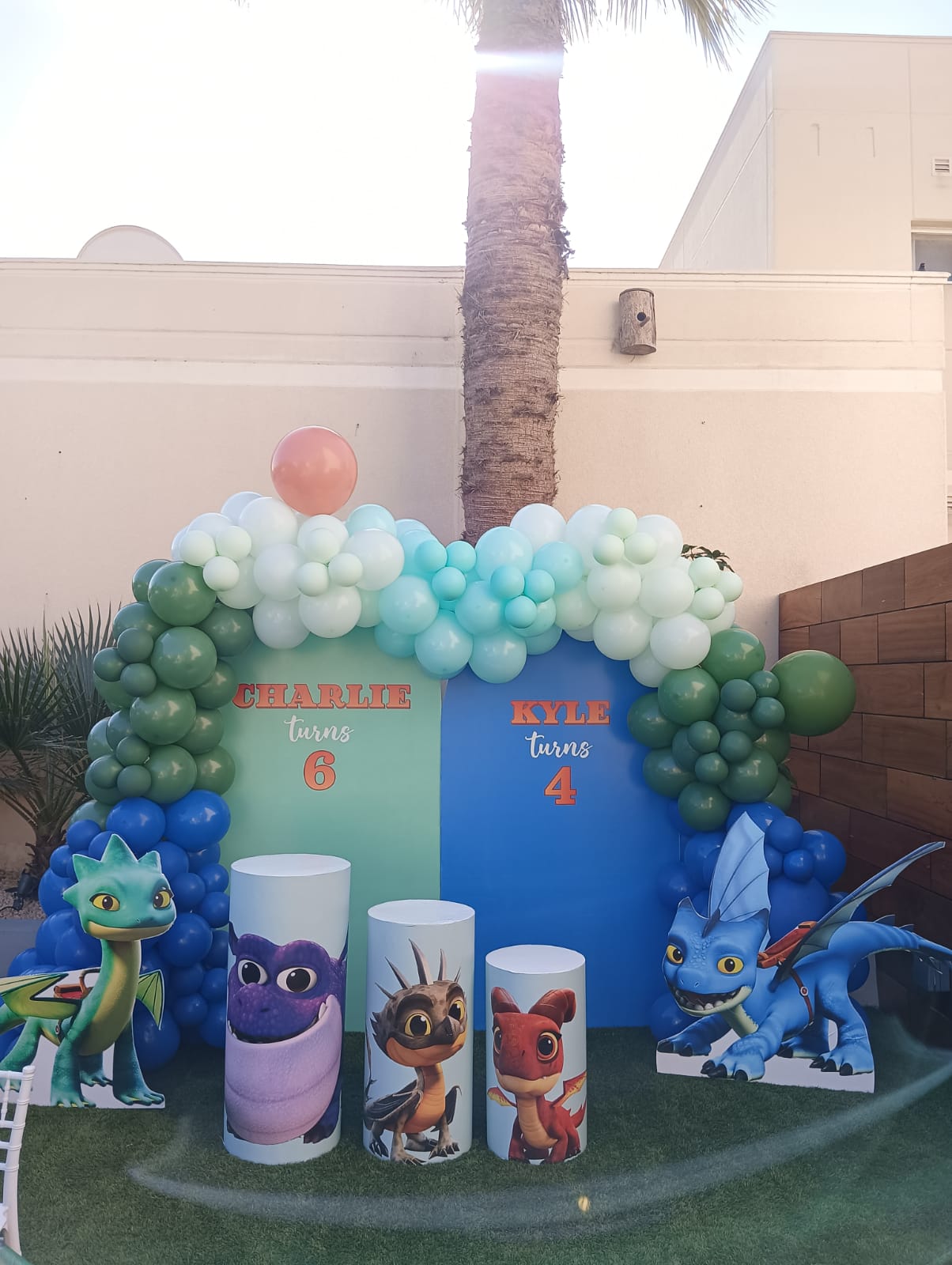Dragon Rescue Riders Theme Decor