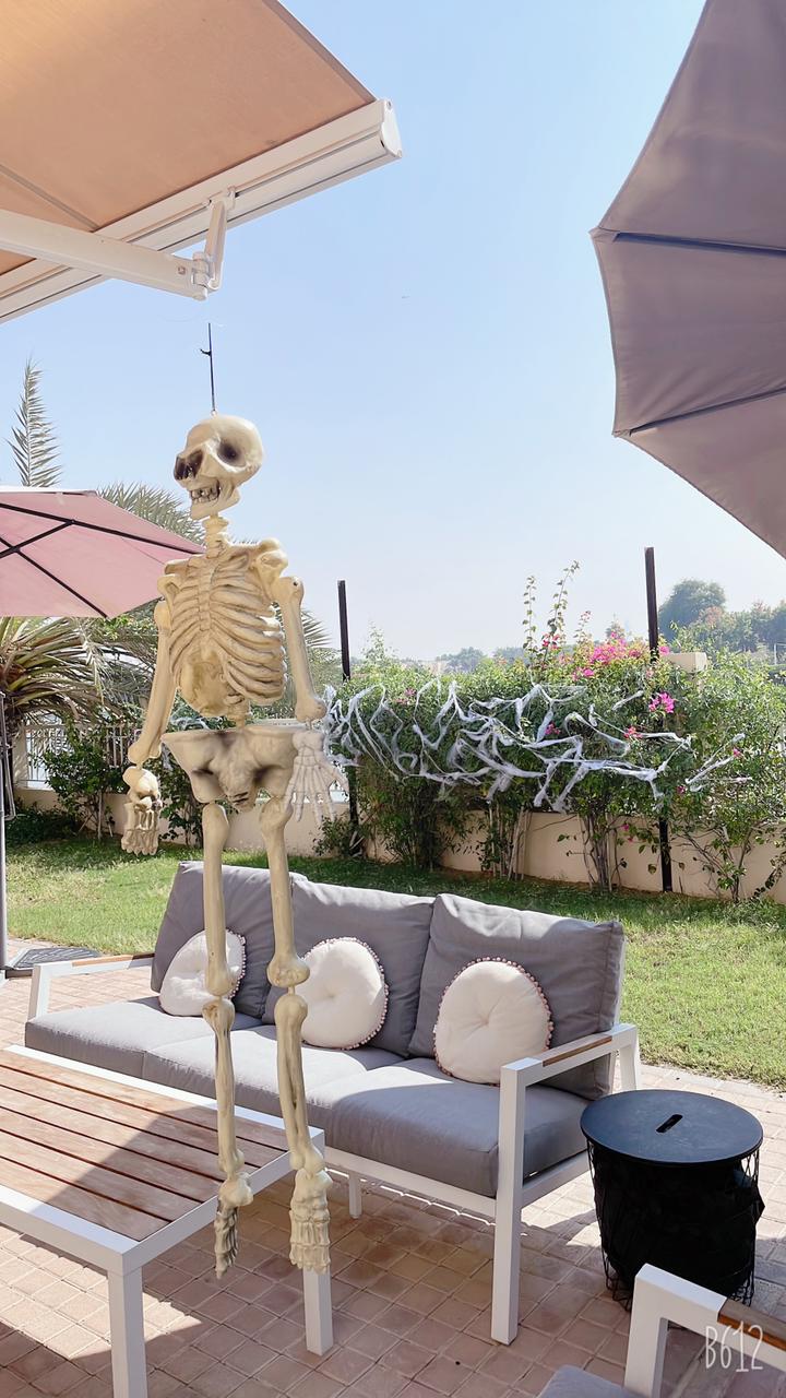 Halloween Party Decor 1