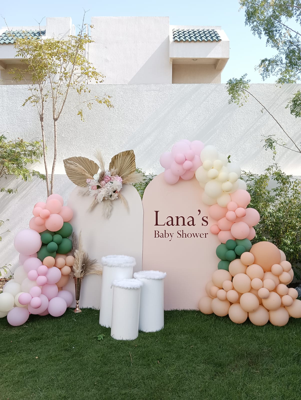 Lana Baby Shower Theme Decor