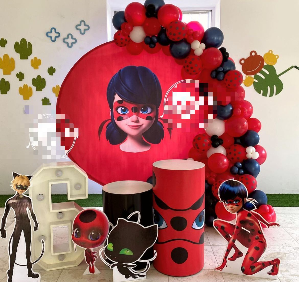 Miraculous Ladybug Theme Decor 8