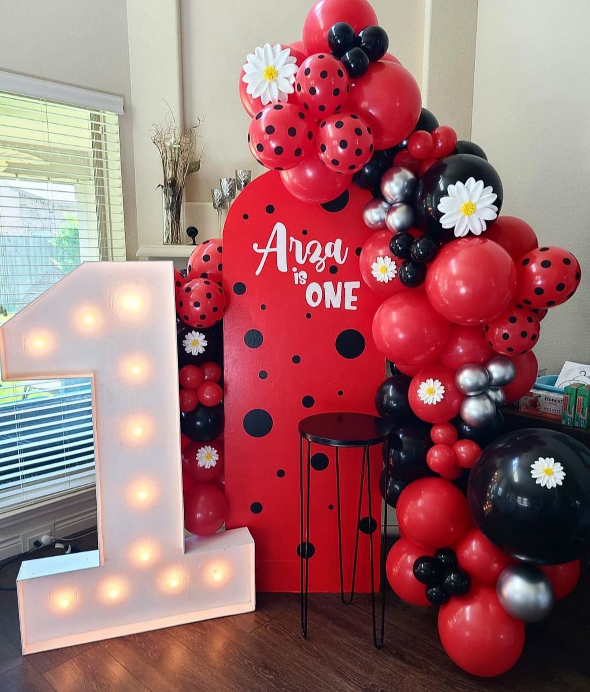 Miraculous Ladybug Theme Decor 9