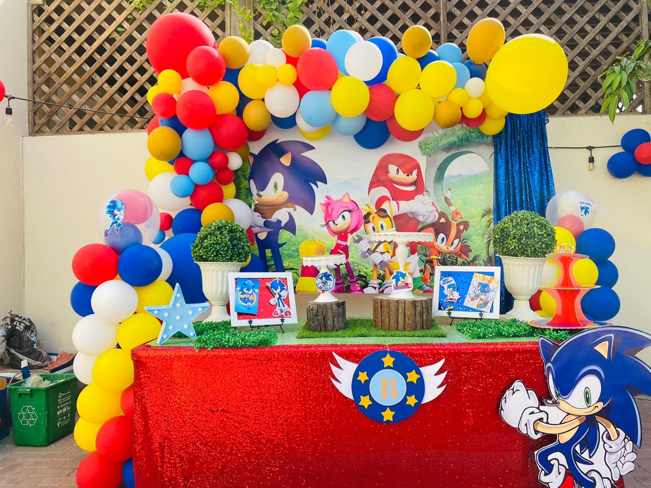Sonic Theme