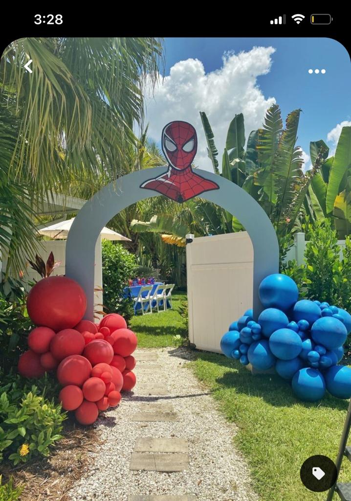 Spider-Man Theme Decor 3