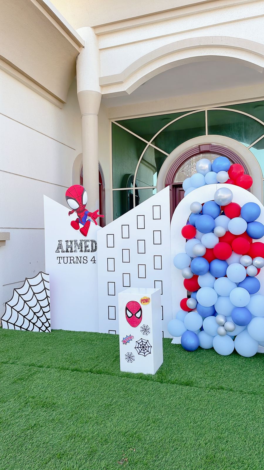 Spiderman Plus Frozen Theme Decor