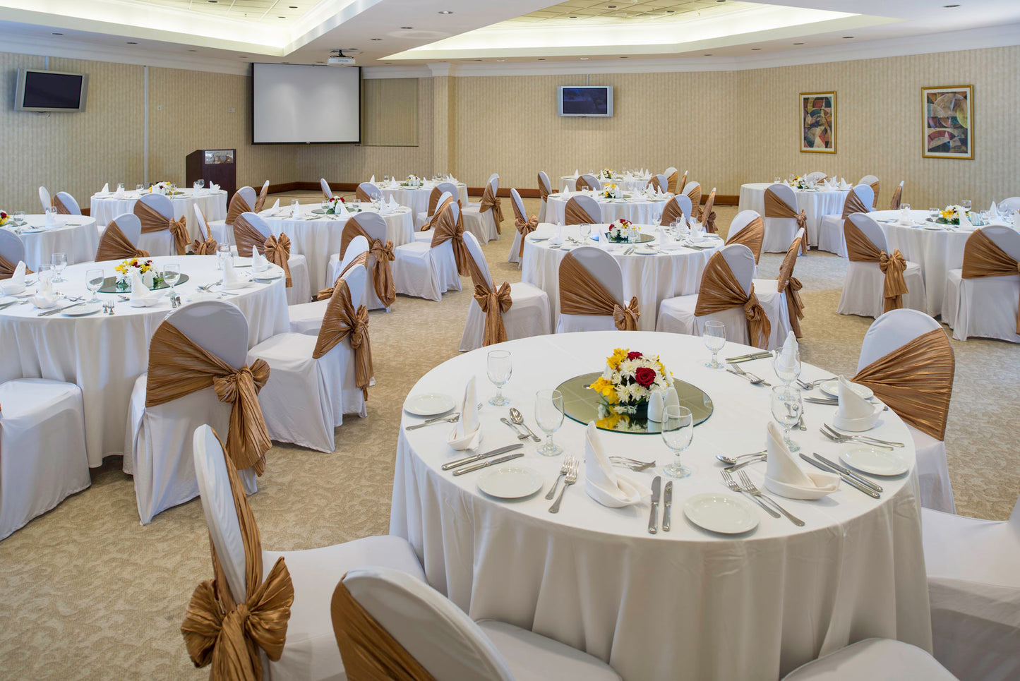 Ajman 1 (Meeting Room 1010)
