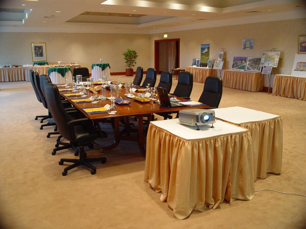 Ajman 1 (Meeting Room 1010)