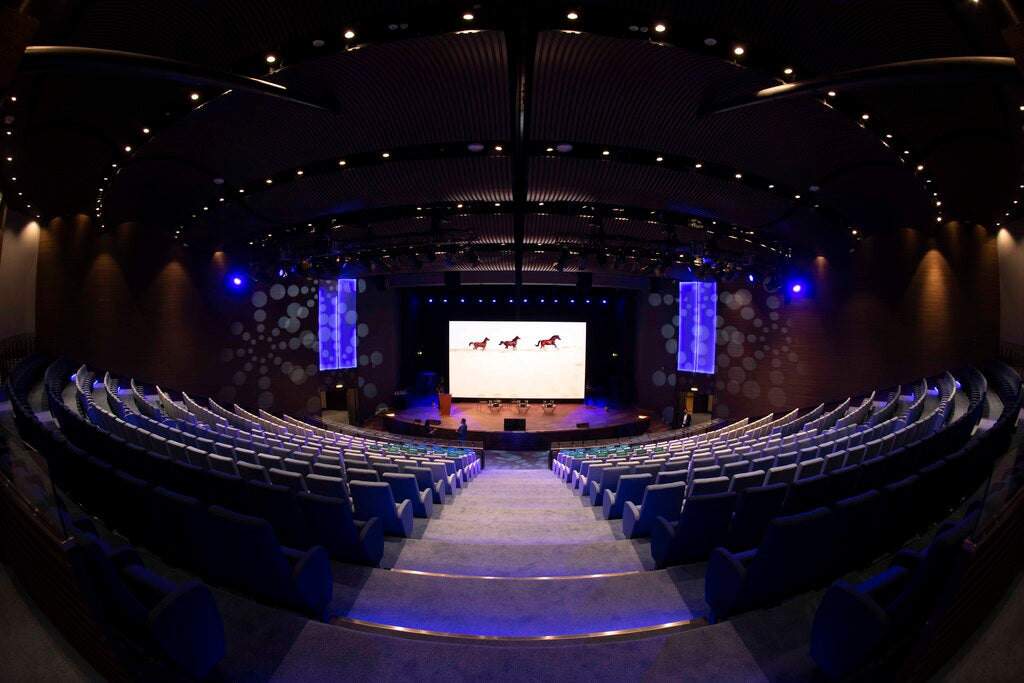 Auditorium (Convention Centre R61)