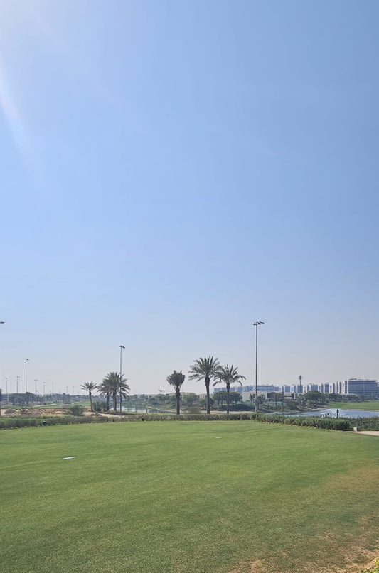 The Club House Lawn (Lawn 1318)