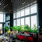 High Energy at Nonya (Restaurant 1306)