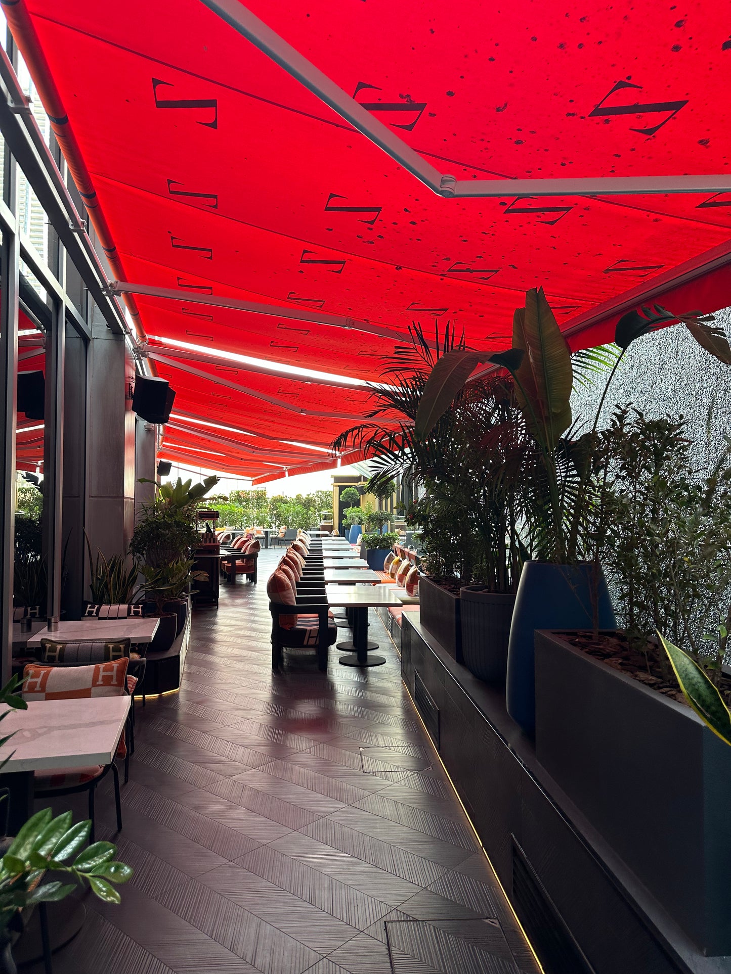 Terrace Area (Terrace Area 1185)