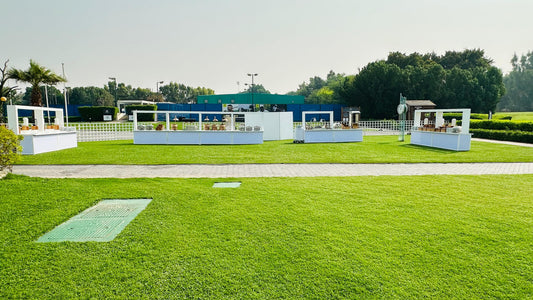 Croquet (Lawn 83)