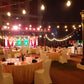 Firefly (Terrace Area 1127)