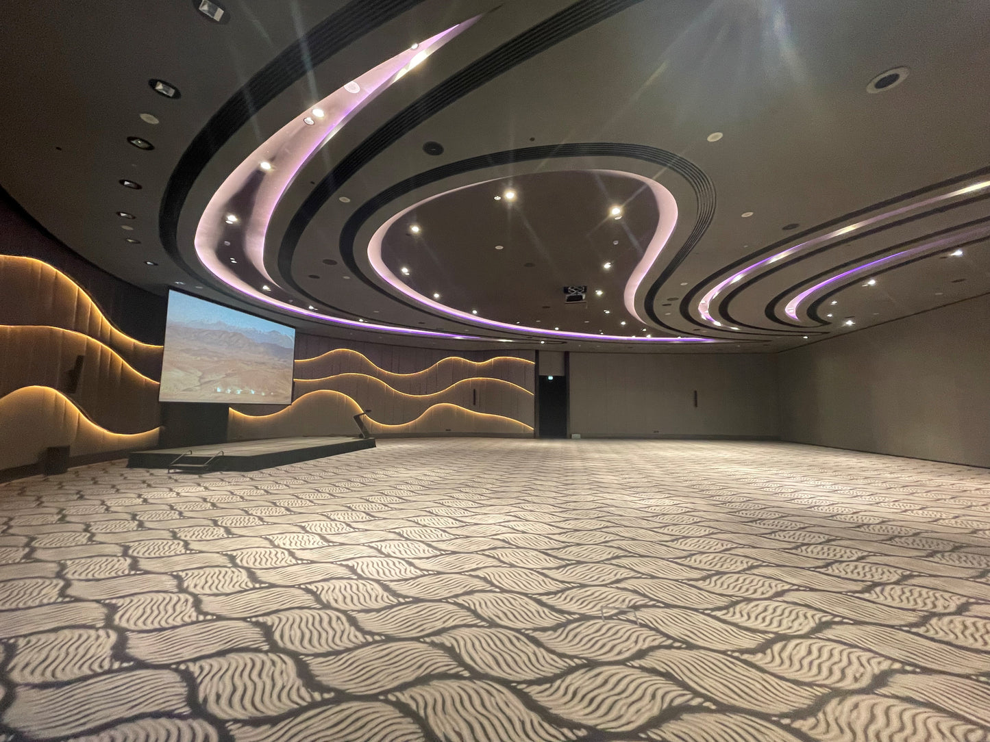 Great Room 1 (Ballroom 691)