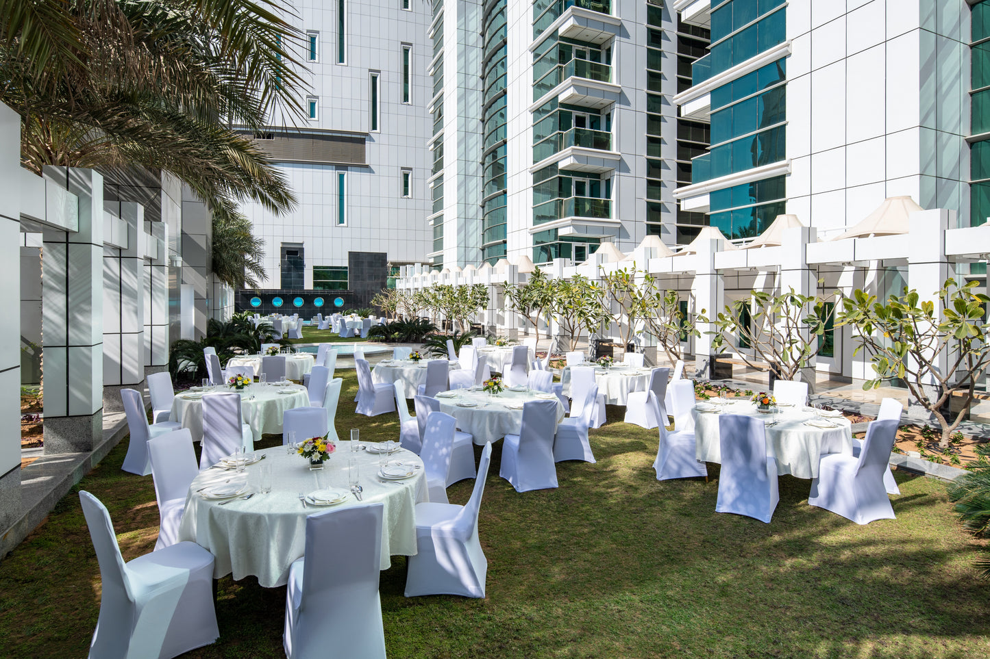 Lawn (Lawn 550)