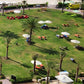 Lawn 2 (Lawn 1163)