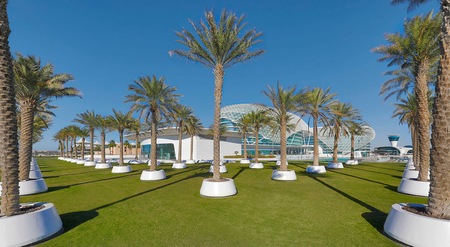 Palm Garden (Garden 803)