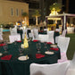 Pool Side (Poolside Area 383)