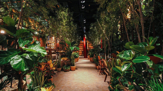 Nurseries