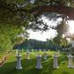 Secret Garden (Lawn 70)