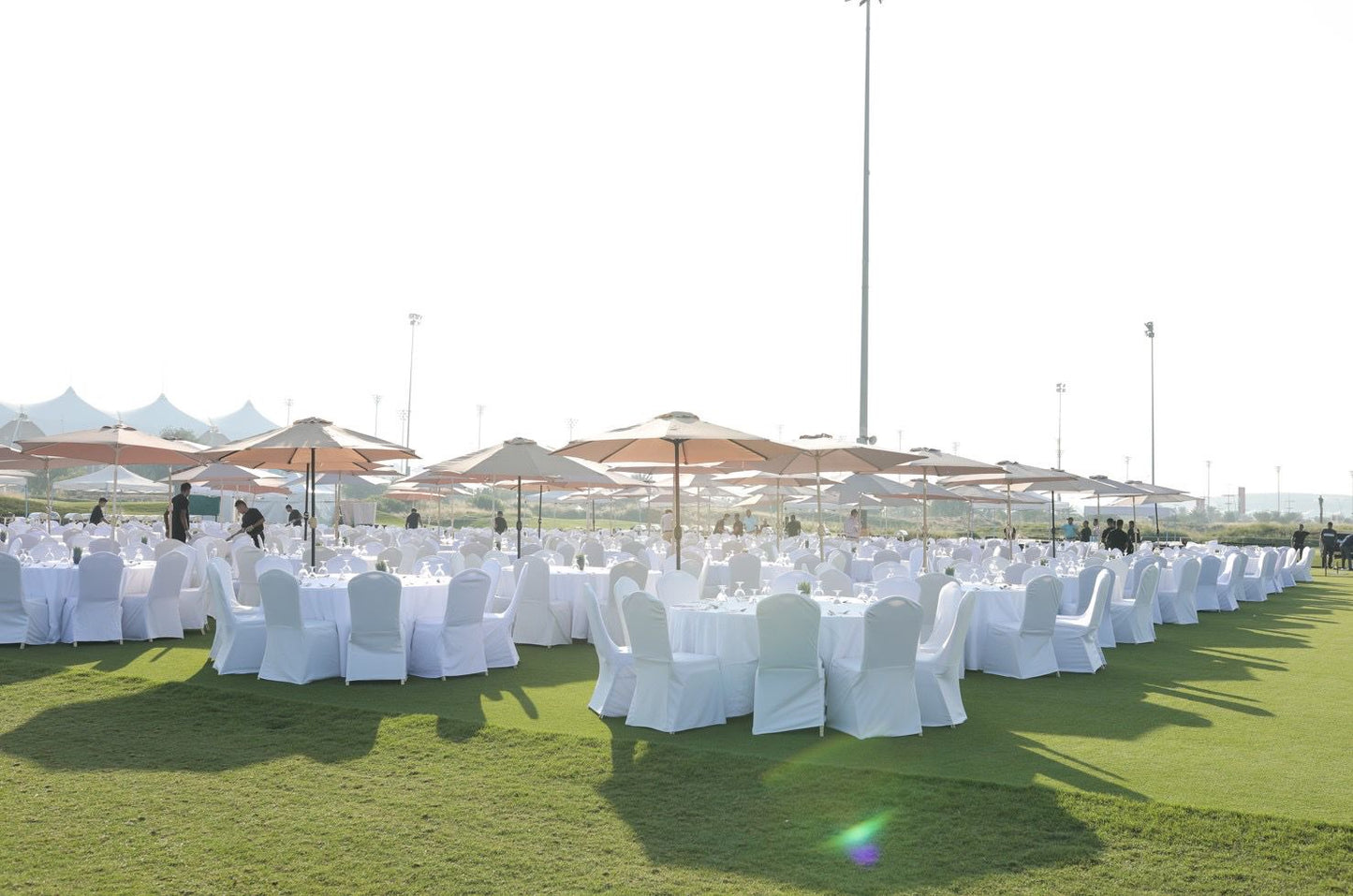 Academy Lawn (Lawn 1288)