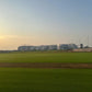 Academy Lawn (Lawn 1288)