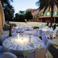 Palm View Graden (Garden 799)