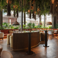 Lounge Dining (Amazónico)