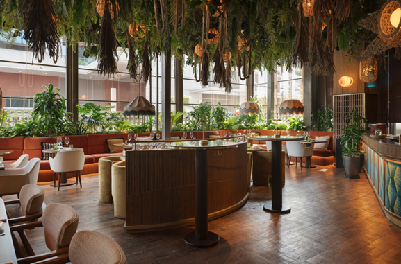 Lounge Dining (Amazónico)