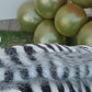Jungle Theme Birthday Decor