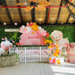 Thea's Farm Theme Birthday Decor