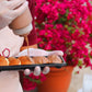 Live Mini Pancake-Mojito Combo Station by Crepe 76