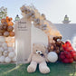 Baby Bear Theme