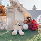Baby Bear Theme