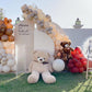 Baby Bear Theme