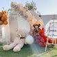 Baby Bear Theme