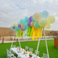 Balloon Wall Birthday