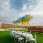 Balloon Wall Birthday