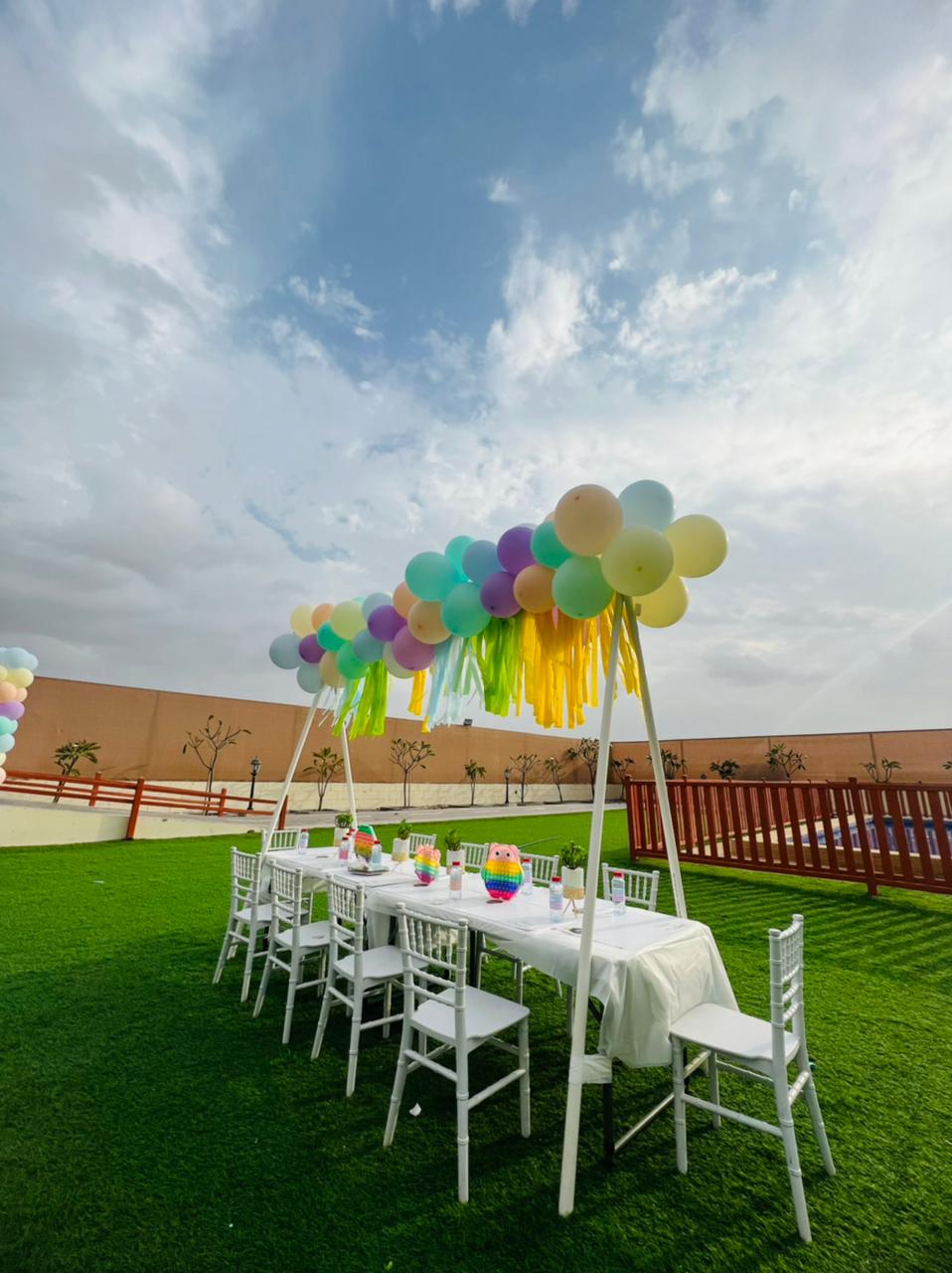 Balloon Wall Birthday