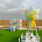 Balloon Wall Birthday