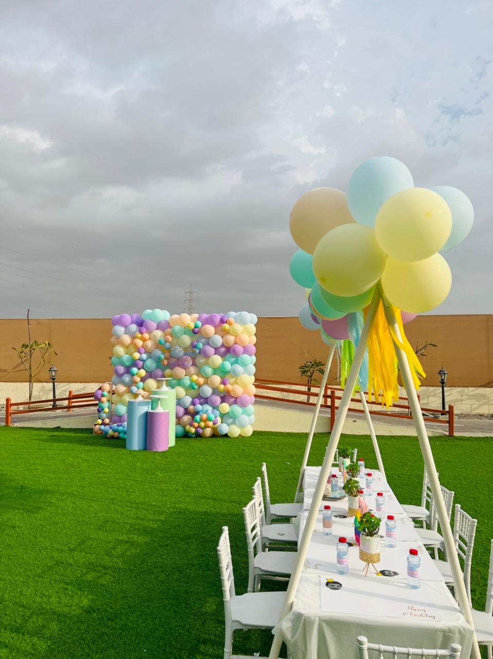 Balloon Wall Birthday