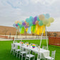 Balloon Wall Birthday