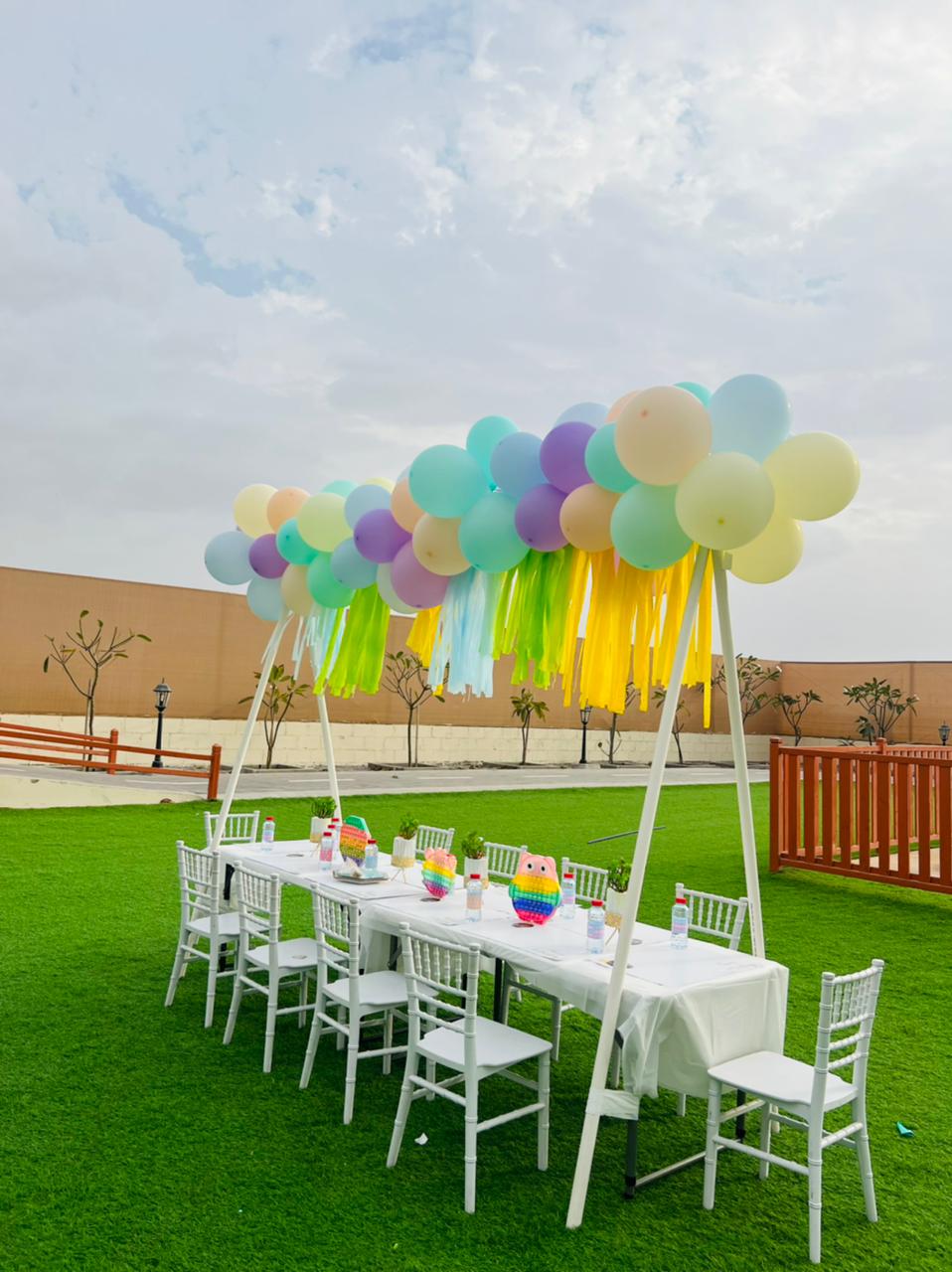 Balloon Wall Birthday