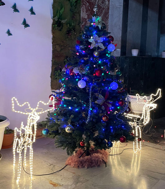 Christmas Theme Decor 4