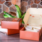 Pasta Box by My Home Kitchen