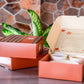 Red Thai Curry Box by My Home Kitchen