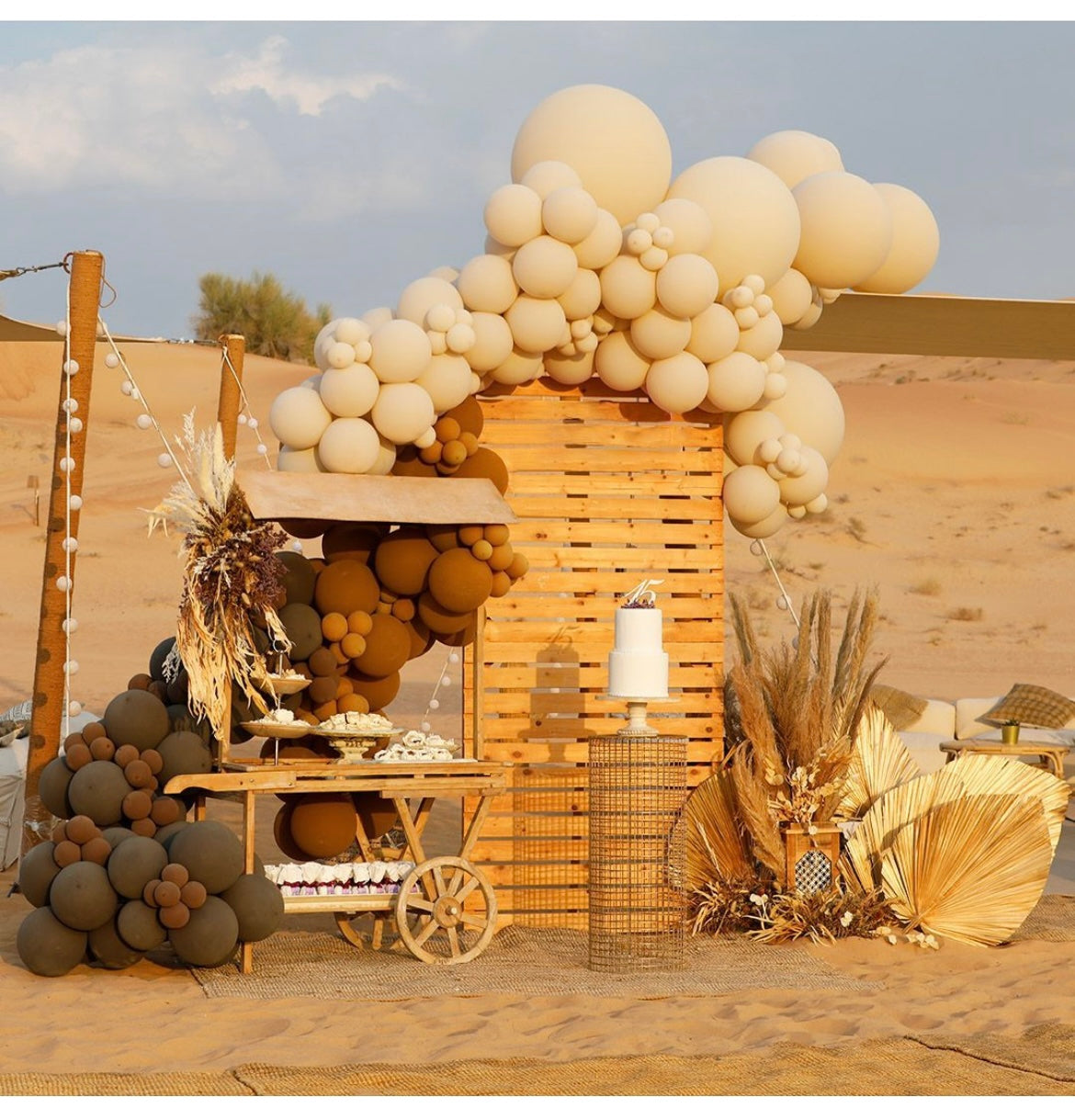 Desert & Wood Decor